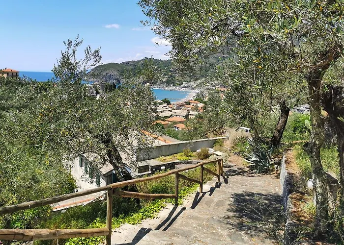 Il Frantoio Del Mesco -