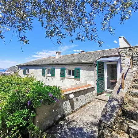 Il Frantoio Del Mesco - Apartment *