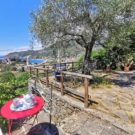 Il Frantoio Del Mesco - Levanto