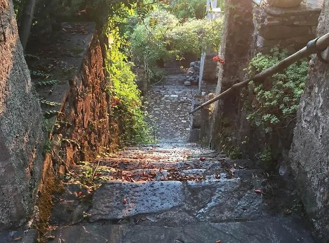 Il Frantoio Del Mesco - 公寓